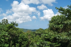 Puetro Rico, February 2007