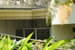 Puetro Rico, February 2007