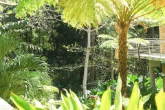 Puetro Rico, February 2007