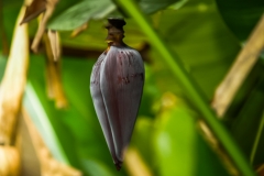 Puetro Rico, February 2007