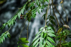 Puetro Rico, February 2007