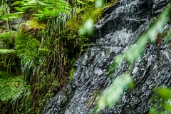 Puetro Rico, February 2007