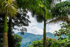 Puetro Rico, February 2007