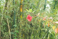 Puetro Rico, February 2007