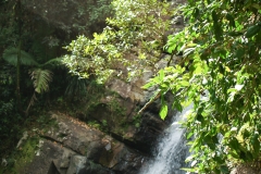 Puetro Rico, February 2007