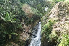 Puetro Rico, February 2007