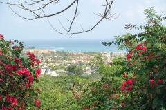 Puetro Rico, February 2007