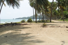 Puetro Rico, February 2007