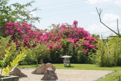 Puetro Rico, February 2007