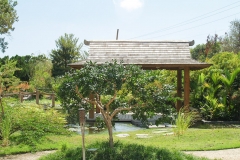 Puetro Rico, February 2007