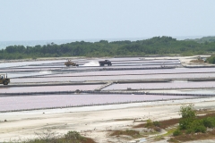 Puetro Rico, February 2007