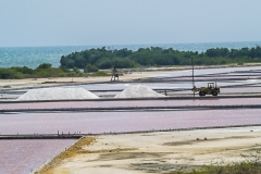 Puetro Rico, February 2007