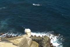 Puetro Rico, February 2007