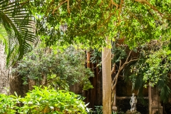 Puetro Rico, February 2007