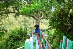 2009 Cruise Antigua