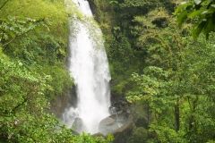 2009 Cruise Dominica