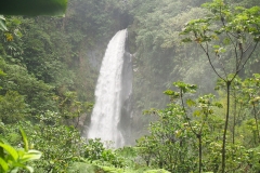 2009 Cruise Dominica