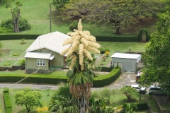 2009 Cruise Dominica