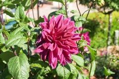 2007-09 Hearst Castle
