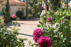 2007-09 Hearst Castle