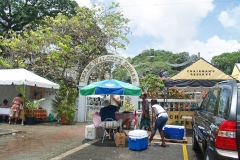 2009 Cruise St. Lucia