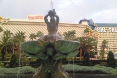 2010-10 Las Vegas