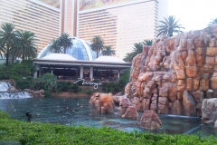 2010-10 Las Vegas