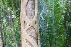 Belize