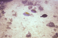 Cozumel