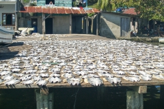 Guatamela