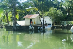 Guatamela