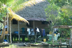 Guatamela