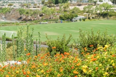 San Diego