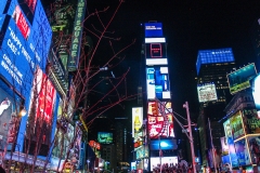 2011-12 New York City