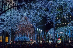 2011-12 New York City