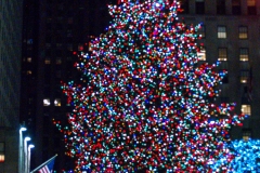 2011-12 New York City