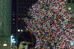 2011-12 New York City