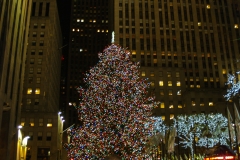 2011-12 New York City