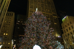 2011-12 New York City