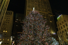 2011-12 New York City