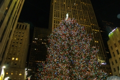 2011-12 New York City