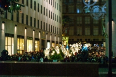 2011-12 New York City