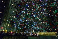 2011-12 New York City