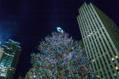 2011-12 New York City