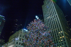 2011-12 New York City