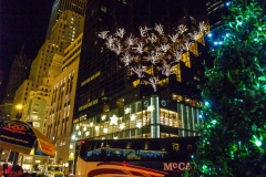 2011-12 New York City