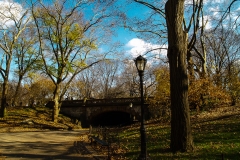 2011-12 New York City