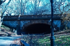 2011-12 New York City