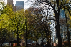 2011-12 New York City