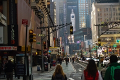 2011-12 New York City